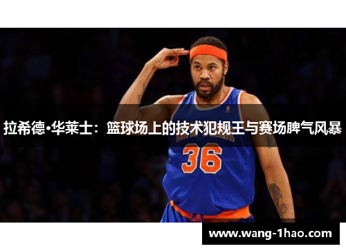 拉希德·华莱士：篮球场上的技术犯规王与赛场脾气风暴