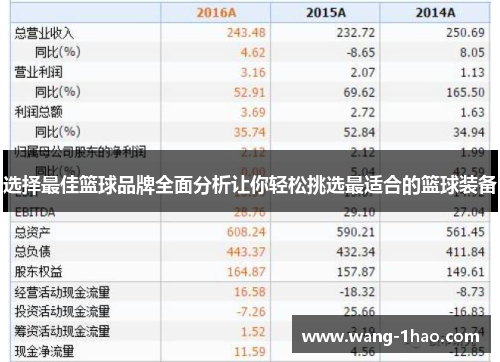 选择最佳篮球品牌全面分析让你轻松挑选最适合的篮球装备