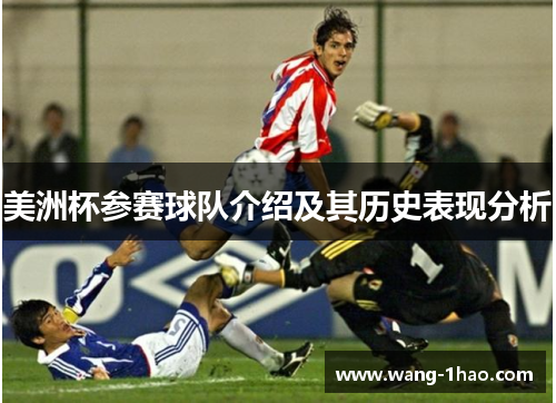 美洲杯参赛球队介绍及其历史表现分析