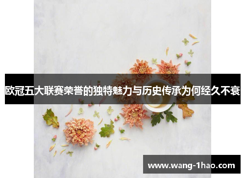 欧冠五大联赛荣誉的独特魅力与历史传承为何经久不衰