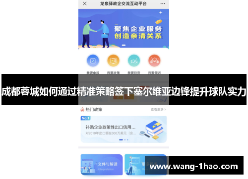 成都蓉城如何通过精准策略签下塞尔维亚边锋提升球队实力