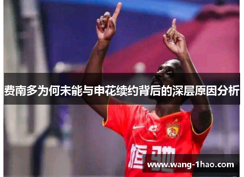 费南多为何未能与申花续约背后的深层原因分析