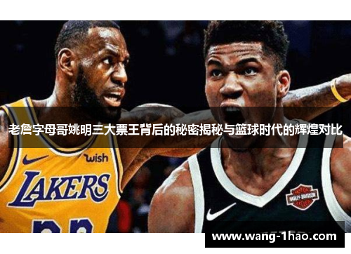 老詹字母哥姚明三大票王背后的秘密揭秘与篮球时代的辉煌对比
