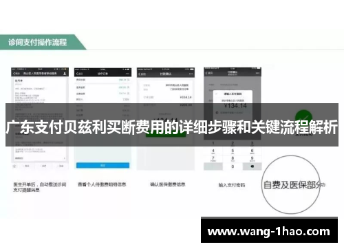 广东支付贝兹利买断费用的详细步骤和关键流程解析
