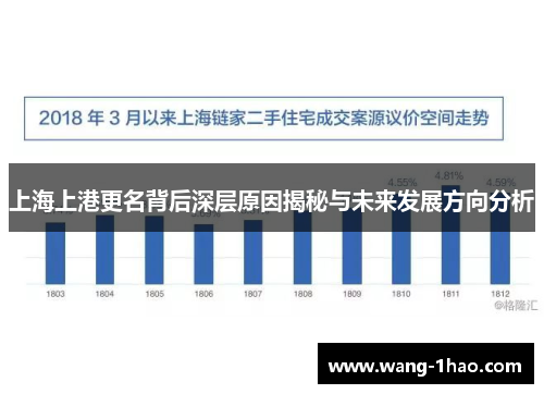上海上港更名背后深层原因揭秘与未来发展方向分析