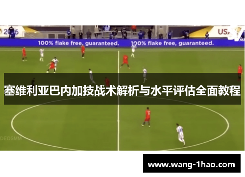 塞维利亚巴内加技战术解析与水平评估全面教程