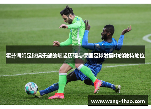 霍芬海姆足球俱乐部的崛起历程与德国足球发展中的独特地位